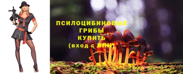 МДПВ Лихославль