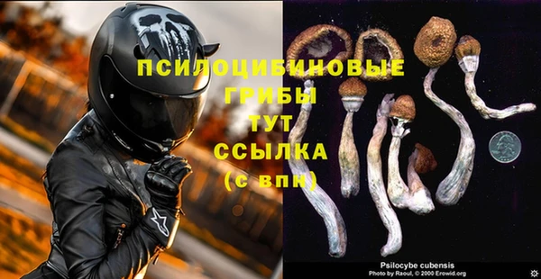 соль курить ск Липки
